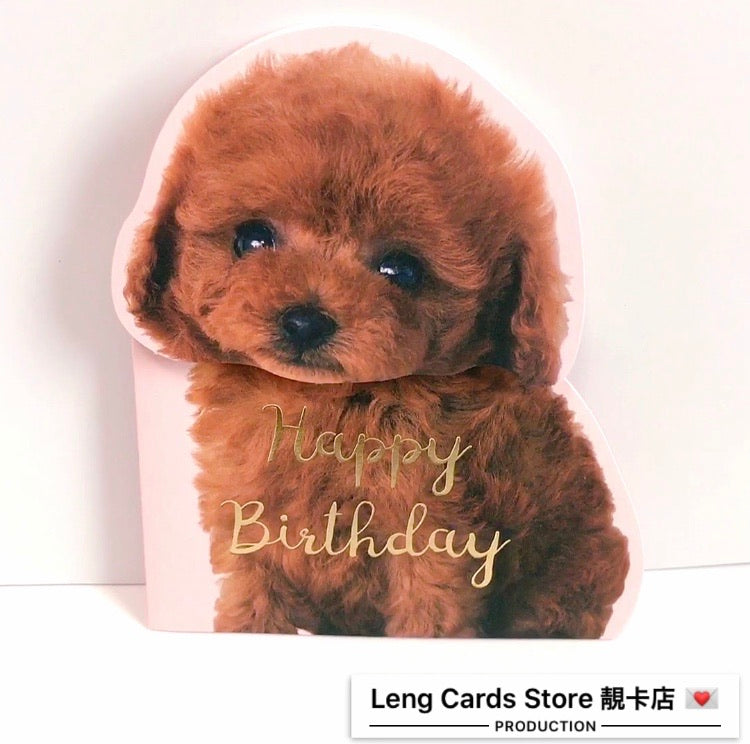 Poodle Birthday Card - No Brainer Zone