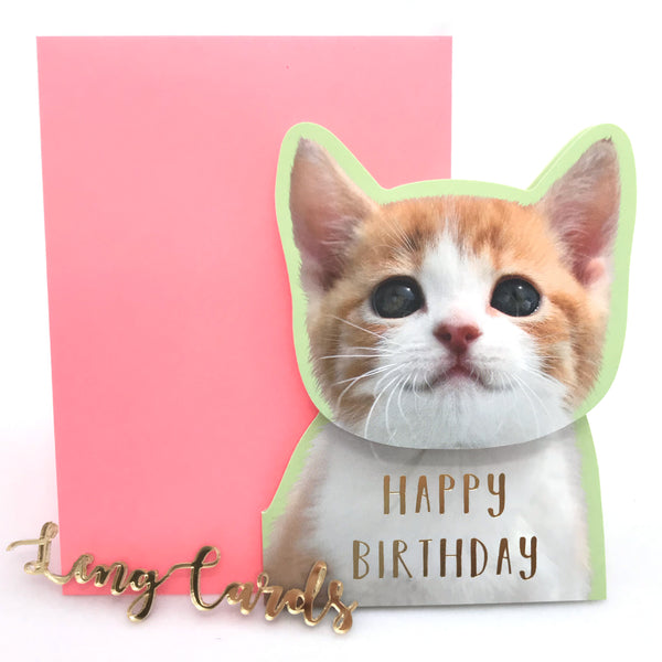 Cat Shake Head Birthday Card - No Brainer Zone