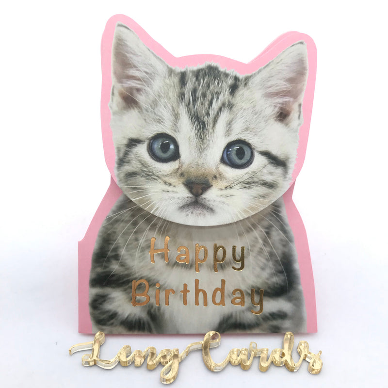 Cat Shake Head Birthday Card - No Brainer Zone