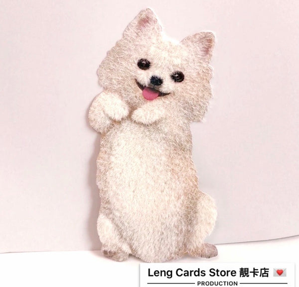 Pomeranian Dog Birthday Card - No Brainer Zone