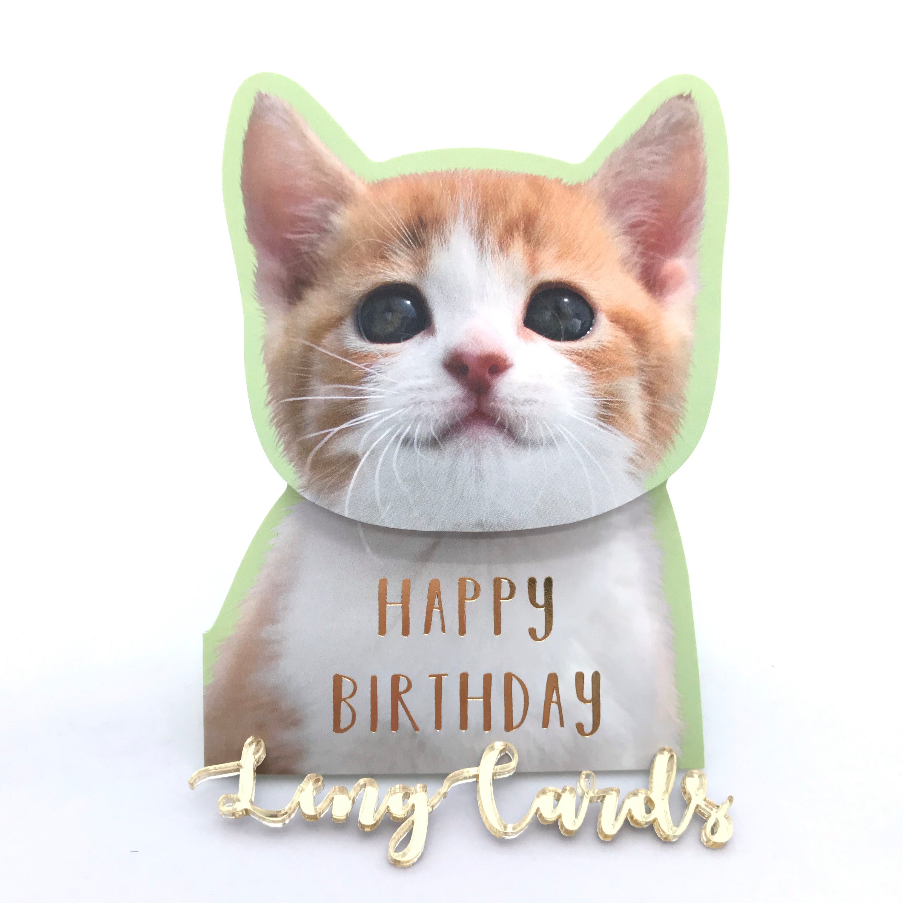 Cat Shake Head Birthday Card - No Brainer Zone