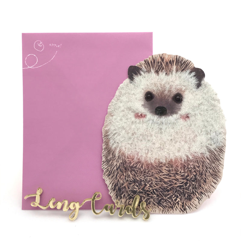 Hedgehog Card - No Brainer Zone